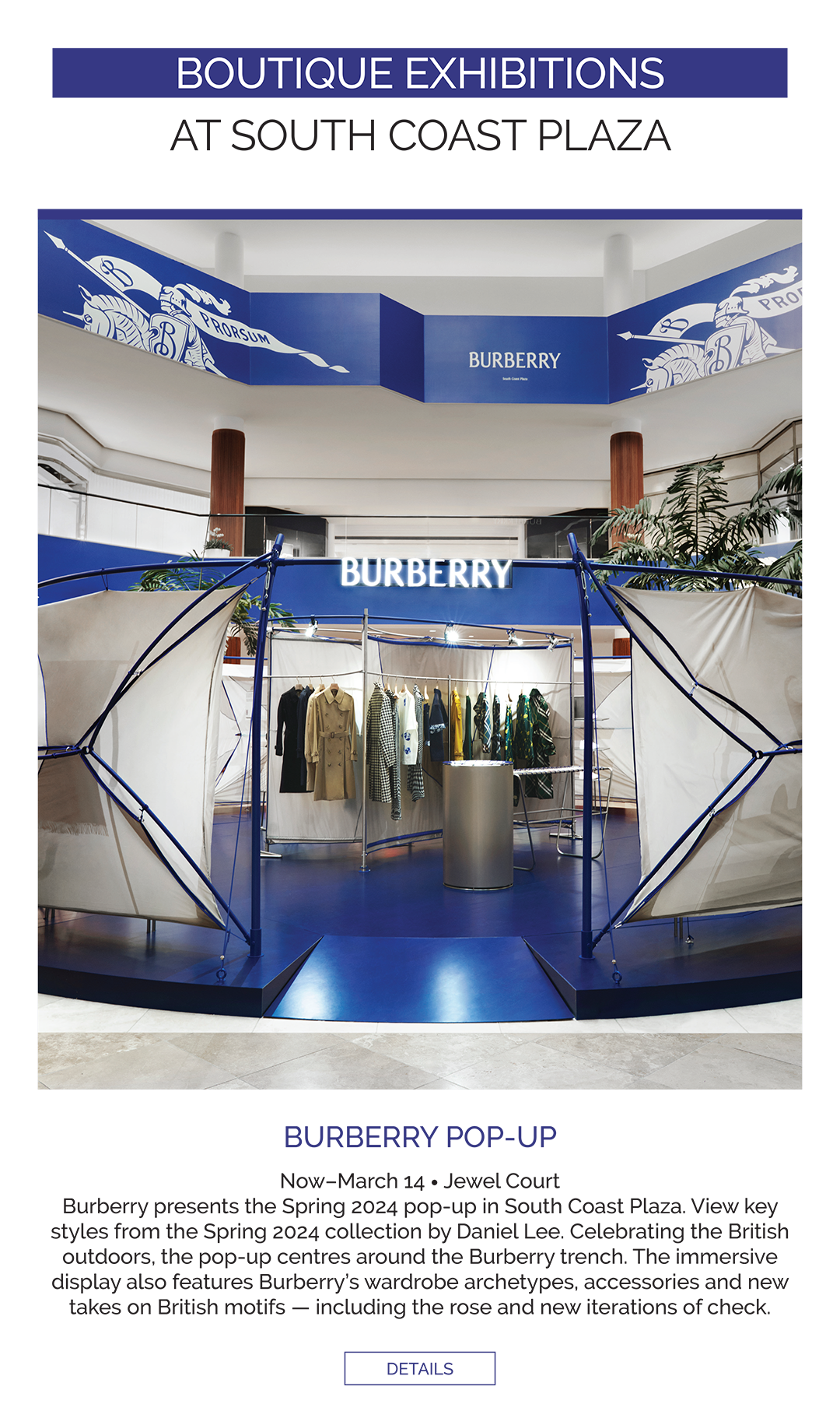 Burberry shop south coast